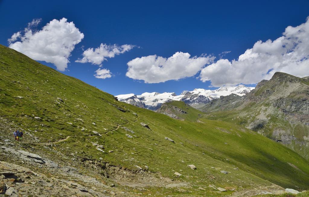 Le Coin Des Melezes - Nature & Trek - Camere In Baita Di Montagna Brusson Buitenkant foto