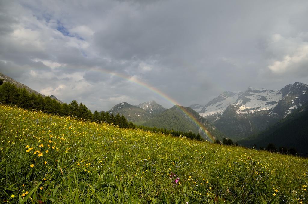 Le Coin Des Melezes - Nature & Trek - Camere In Baita Di Montagna Brusson Buitenkant foto