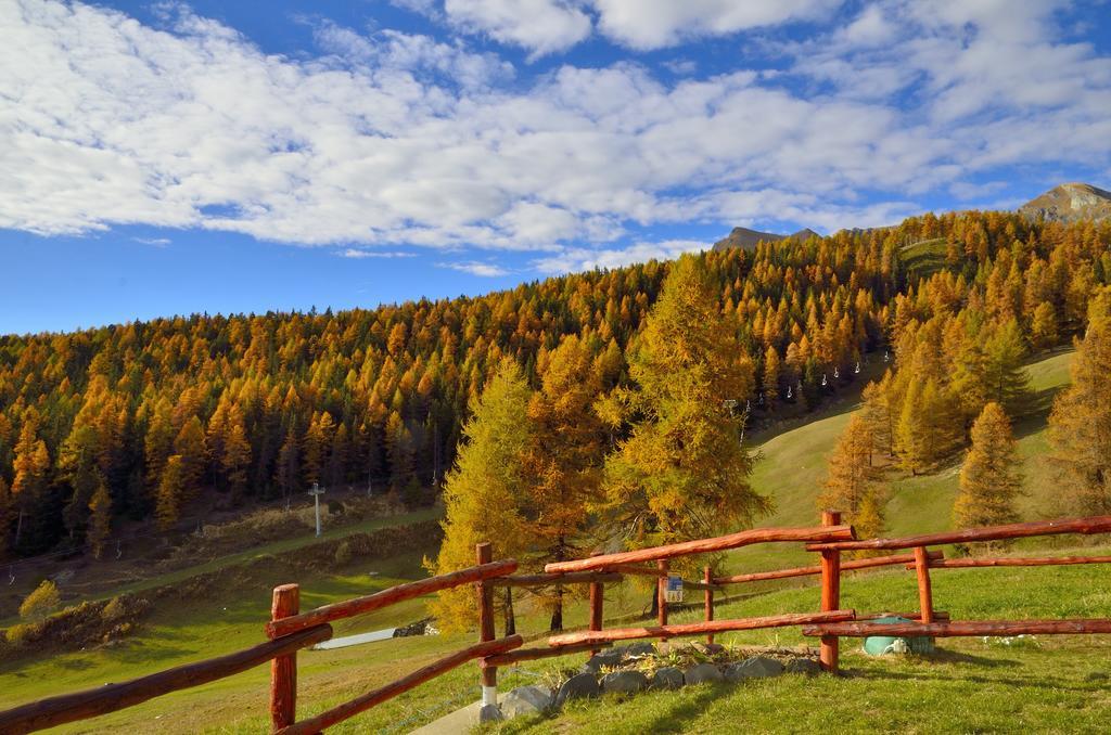 Le Coin Des Melezes - Nature & Trek - Camere In Baita Di Montagna Brusson Buitenkant foto
