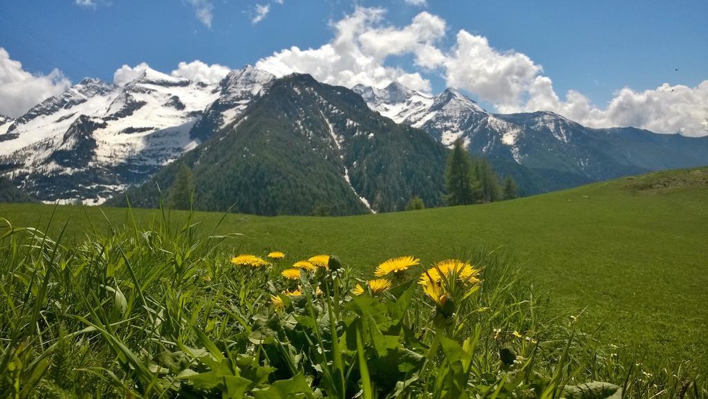 Le Coin Des Melezes - Nature & Trek - Camere In Baita Di Montagna Brusson Buitenkant foto